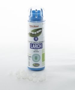 Mélèze - Larch (n°19) SANS ALCOOL BIO, 130 granules